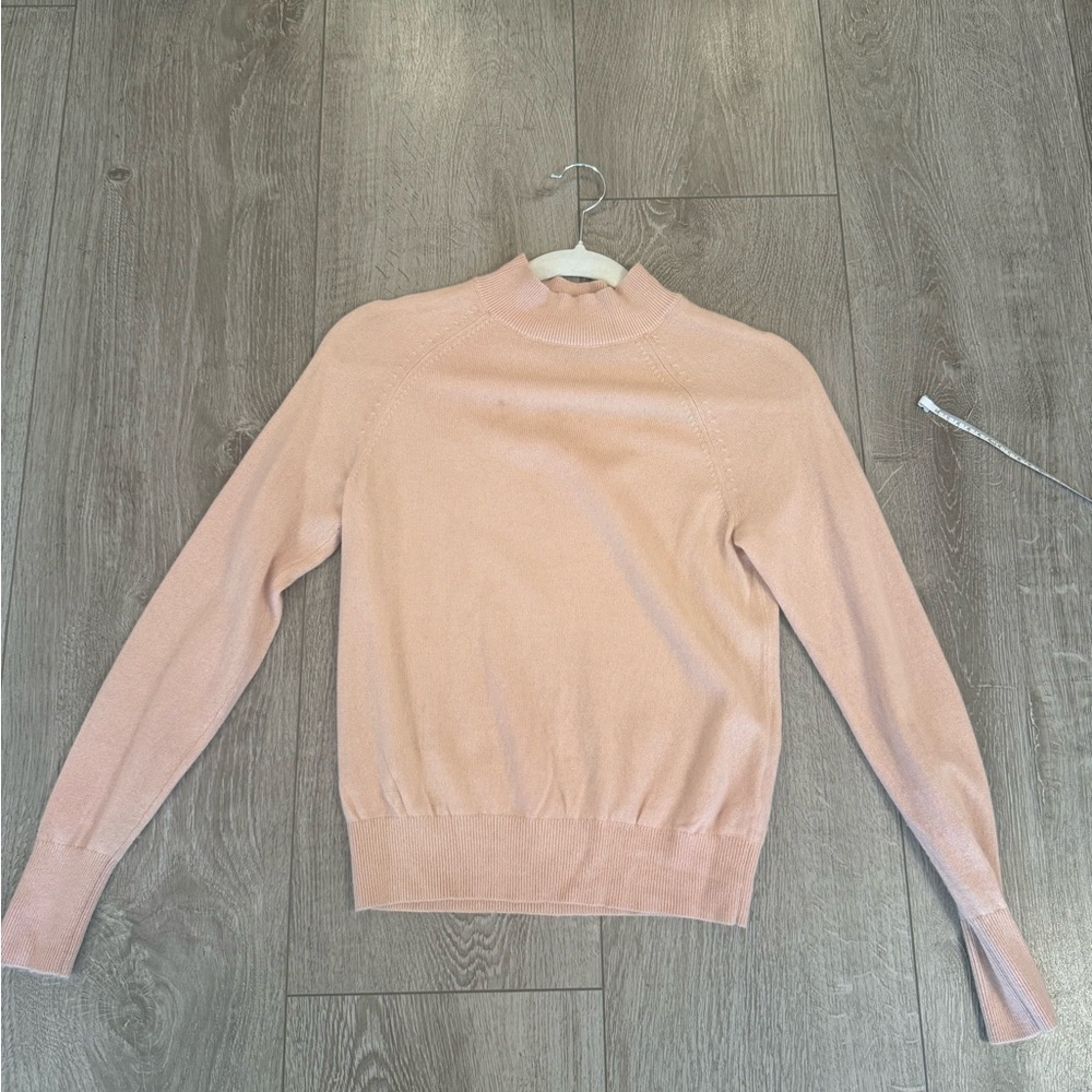 Everlane The Cashmere Raglan Mock Neck Sweater